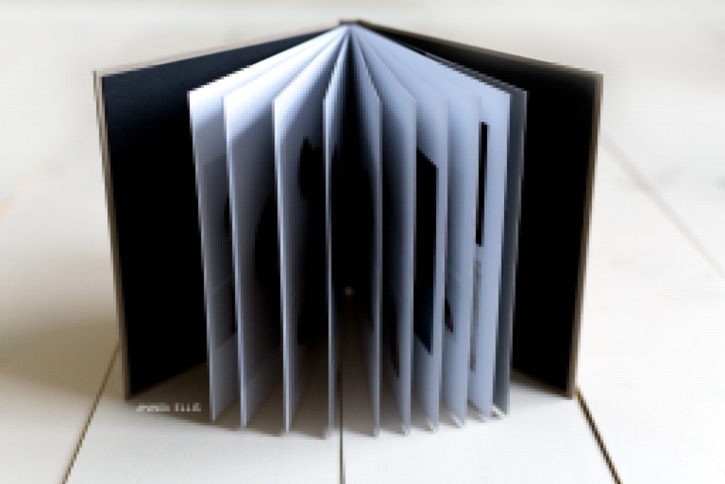 Why Buy an Album? | Akron Newborn Photographer