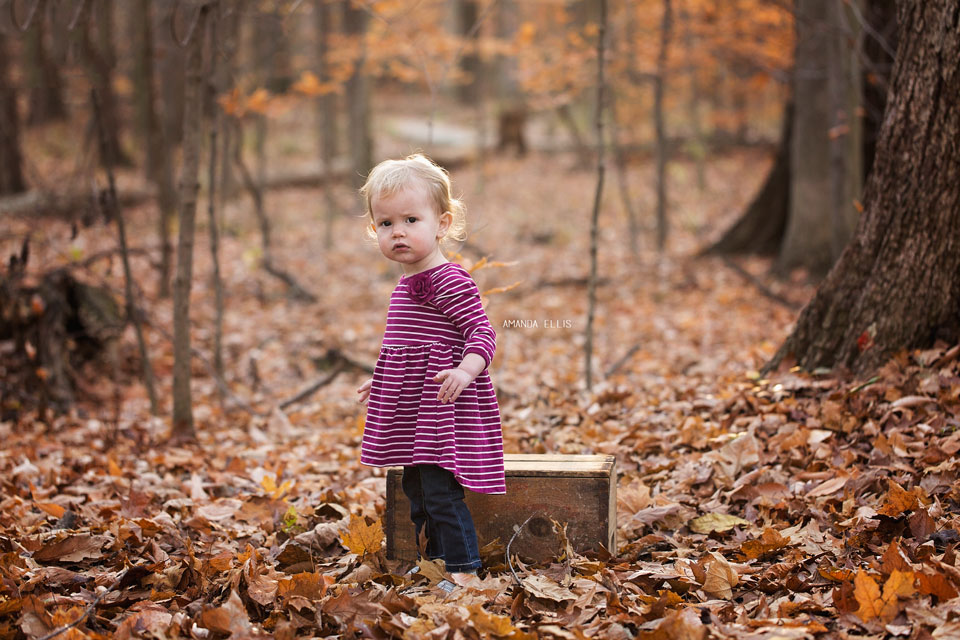 Wooster Ohio Family Photographer