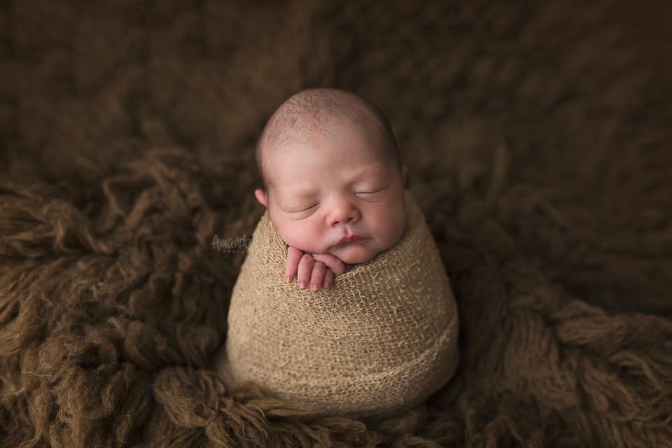 Newborn Photographer Stow Ohio