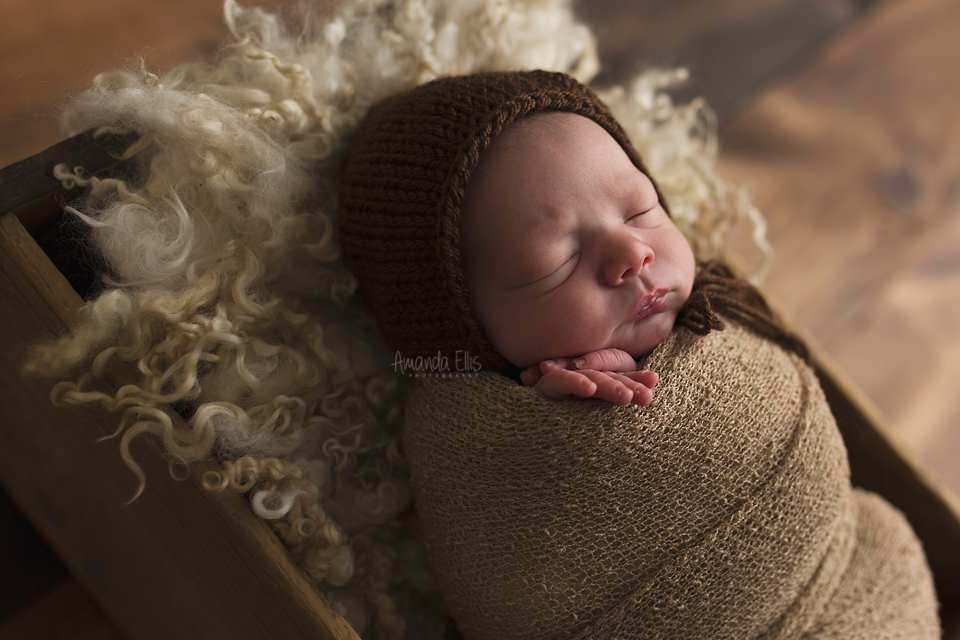 Stow Newborn Pictures