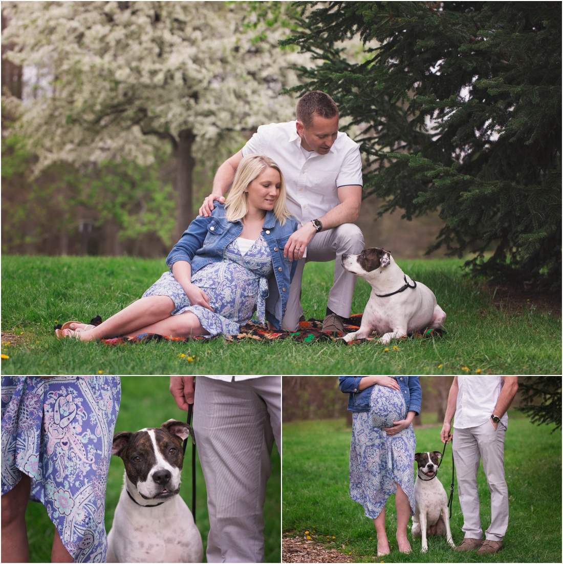 Maternity Photographer in Canton