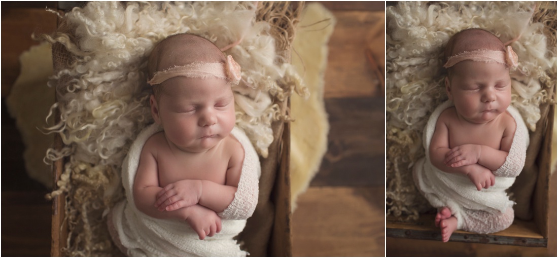 Twin Newborn Photographer Akron