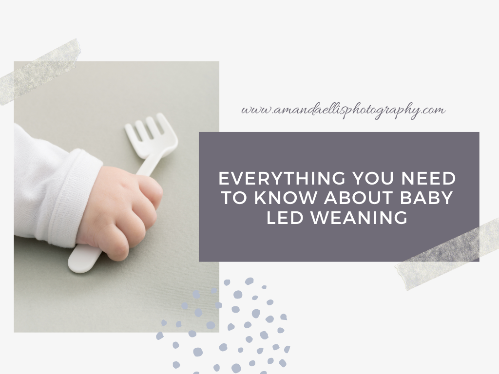 EVERYTHING YOU NEED TO KNOW ABOUT BABY LED WEANING